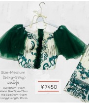 Myanmar Traditional Dress (Top+ Longyi Set) 2